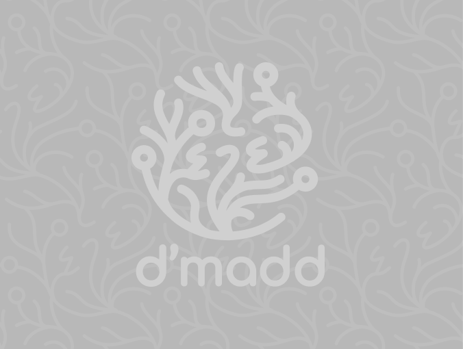 publication icon