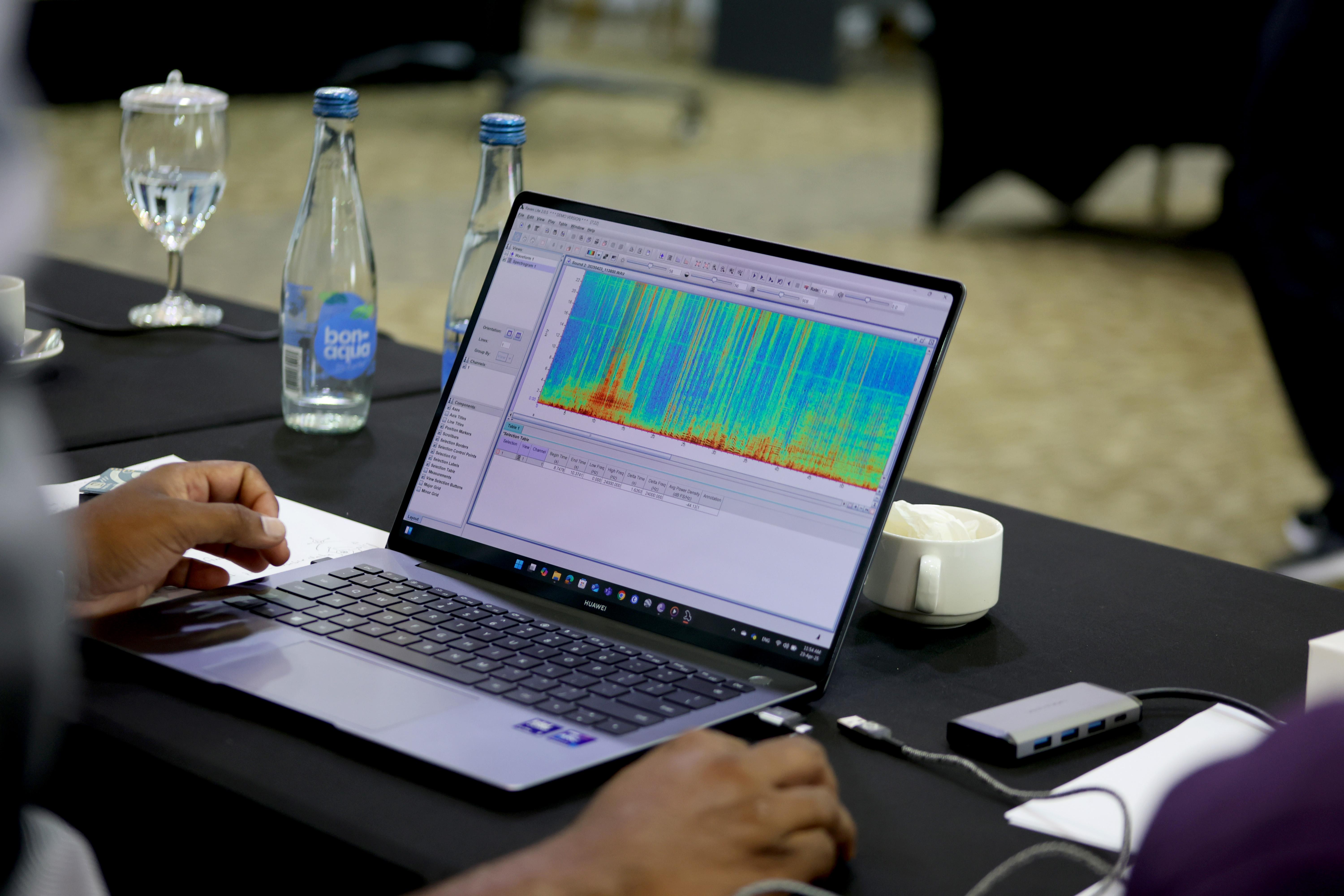 Passive Acoustic Pilot at Rasfari Reef, Maldives
