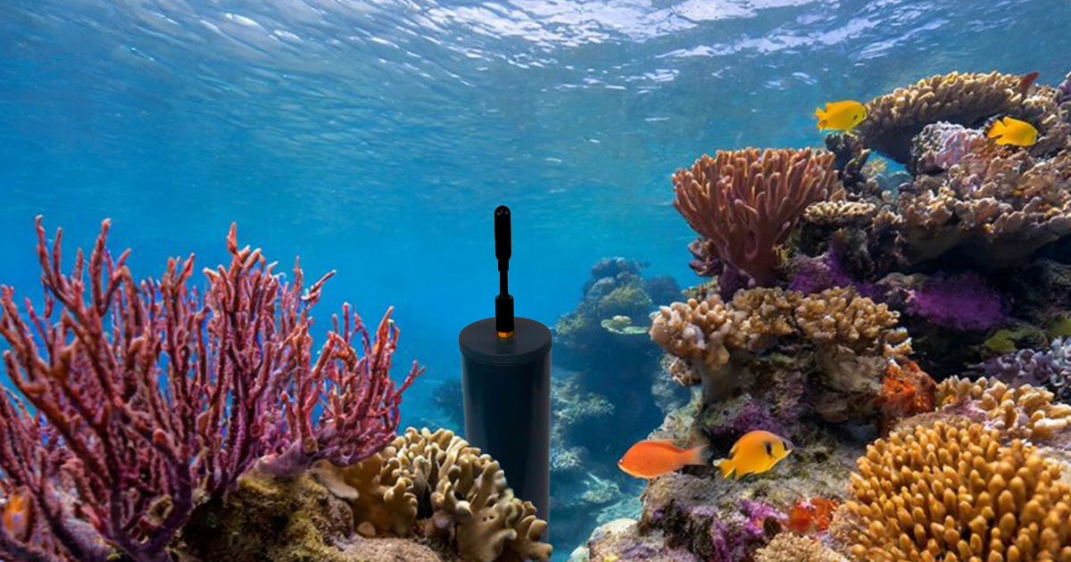 Reef restoration using non-invasive passive acoustic monitoring