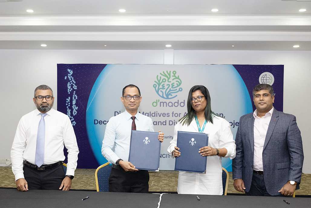 DMADD - Contract Awarded to Conduct Needs Assessment and Feasibility ...